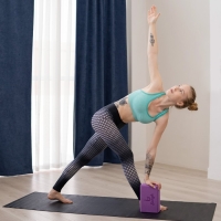 Блок для йоги Sangh, 23х15х8 см, цвет фиолетовый Блок для йоги Sangh, 23х15х8 см, цвет фиолетовый