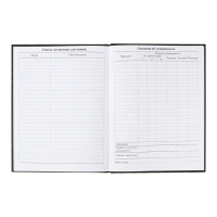 Дневник универсальный для 1-11 классов, Street Sport, твердая обложка 7БЦ, матовая ламинация, тиснение фольгой, 40 листов Дневник универсальный для 1-11 классов, Street Sport, твердая обложка 7БЦ, матовая ламинация, тиснение фольгой, 40 листов