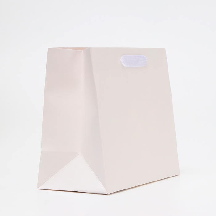 Пакет ламинированный &laquo;Белый&raquo;, MS 23 &times; 18 &times; 10 см