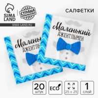 Гендер-пати. Cалфетки бумажные &laquo;Маленький джентльмен&raquo;, 25х25 см, набор 20 шт.