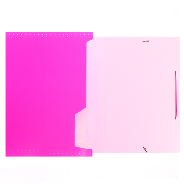 Папка картотека Calligrata Неон 13 отдел. A4 пластик 0.7мм фуксия. рез в цвет Папка картотека Calligrata Неон 13 отдел. A4 пластик 0.7мм фуксия. рез в цвет