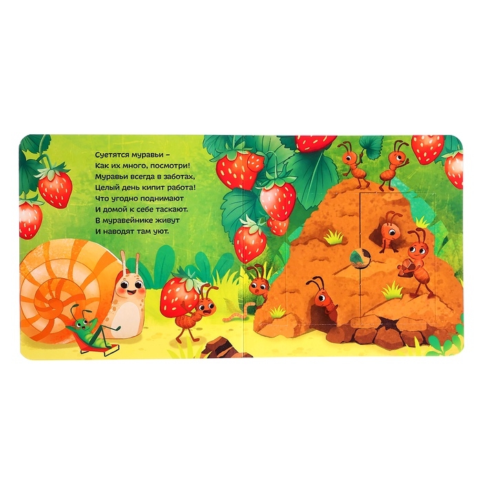 Картонные книги с окошками «Что внутри?», набор 3 шт. по 12 стр. Картонные книги с окошками «Что внутри?», набор 3 шт. по 12 стр.