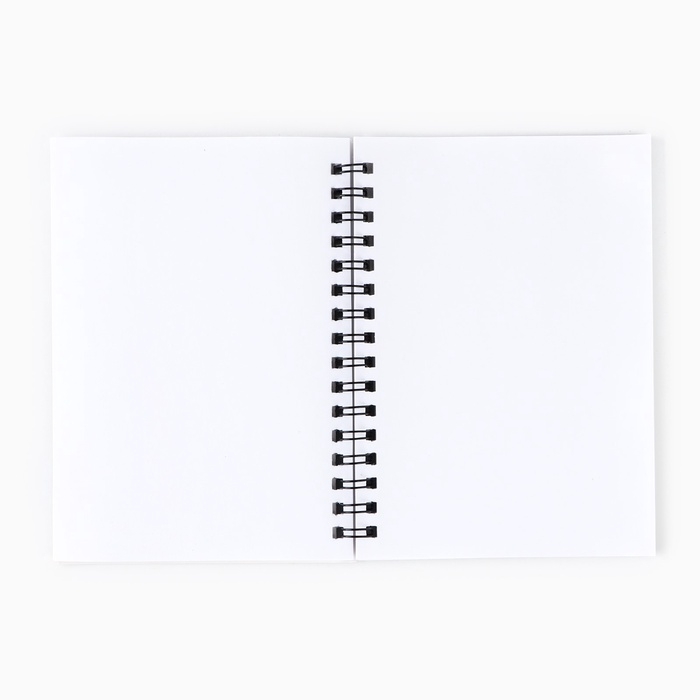 Подарочный набор &laquo;Единорог&raquo;: ежедневник 40л, паспортная обложка