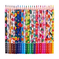 Карандаши 24 цвета в картонной коробке, шестигранные, деревянные,Цветы на чёрном МИКС Карандаши 24 цвета в картонной коробке, шестигранные, деревянные,Цветы на чёрном МИКС