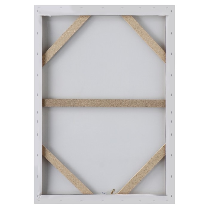 Картина-холст на подрамнике Картина-холст на подрамнике "Конь" 50х70 см