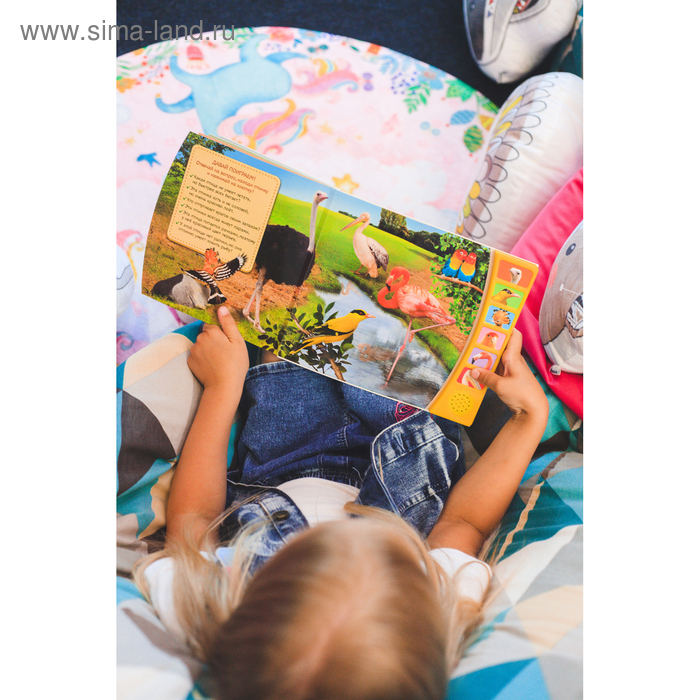 Музыкальная книга «Экзотические птицы», 12 стр. Музыкальная книга «Экзотические птицы», 12 стр.