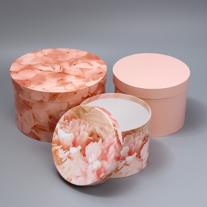 Набор шляпных коробок 3 в 1, упаковка подарочная, «Бежевый», 18 х 18 х 13‒25 х 25 х 15 см Набор шляпных коробок 3 в 1, упаковка подарочная, «Бежевый», 18 х 18 х 13‒25 х 25 х 15 см