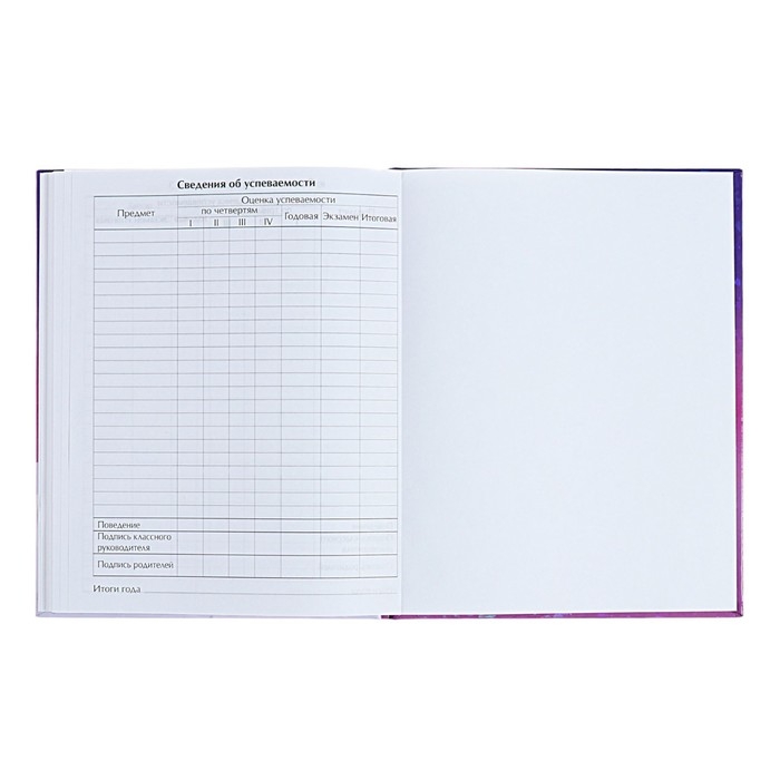 Дневник для 1-4 классов Дневник для 1-4 классов "Нежные мечты", твёрдая обложка, голография, 48 листов