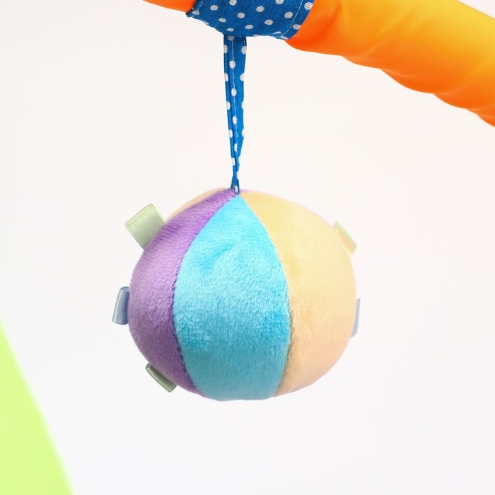 Развивающий коврик с дугами &laquo;Веселый парк&raquo;, 97&times;86 см, виды МИКС, Дельфин