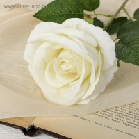 Цветы искусственные «Роза боливийская» 8х55 см, белый Цветы искусственные «Роза боливийская» 8х55 см, белый