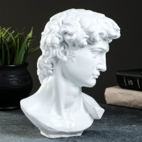 Копилка "Бюст Давида" 20х13см Копилка "Бюст Давида" 20х13см