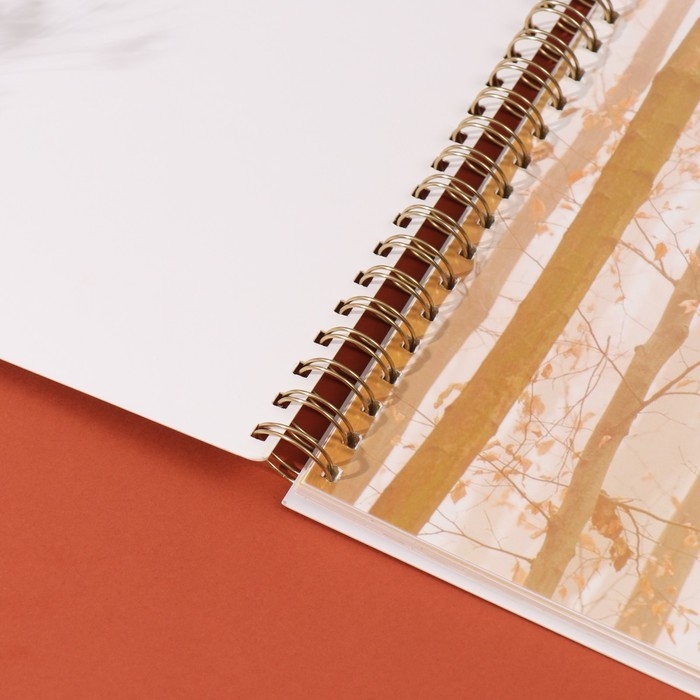 Фотоальбом на спирали 20 листов "Котики в окне" объёмный элемент + 4 вкладки 24х24 см