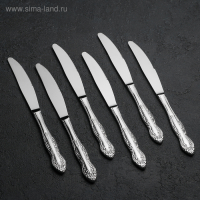 Набор столовых приборов &laquo;Славянка&raquo;, 24 предмета, декоративная коробка, цвет серебряный