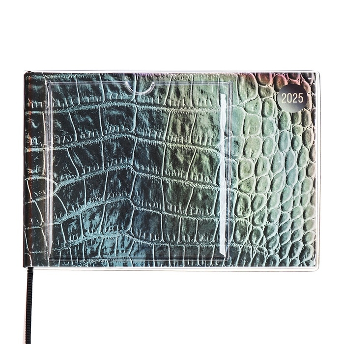 Еженедельник датированный 2025 год, ESCALADA "змея металлик", мягкая обложка ПВХ, 64 листа, блок 70 г/м&sup2;, 180 х 127мм