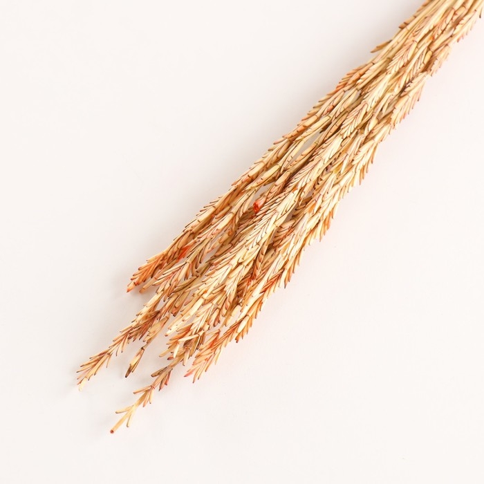 Набор сухоцветов "Райграс", банч 21 шт, длина 60 (+/- 6 см), оранжевый