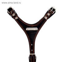 Шлейка кожаная "Караульная", 2,5 см, ОШ40-66 см, ОГ 81-100 см, чёрный Шлейка кожаная "Караульная", 2,5 см, ОШ40-66 см, ОГ 81-100 см, чёрный