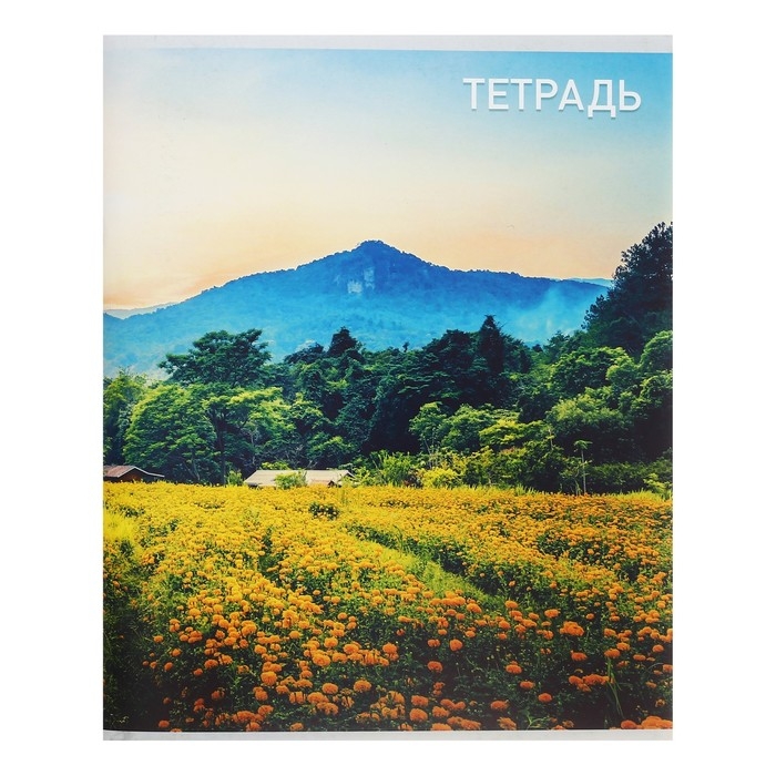 Тетрадь 96 листов в клетку Calligrata Тетрадь 96 листов в клетку Calligrata "Природа", обложка мелованный картон, блок №2, белизна 75% (серые листы), МИКС