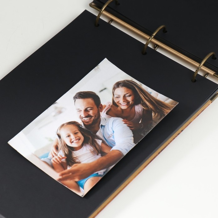 Фотоальбом на кольцах 30 листов "У поместья" чёрные листы 26х18 см