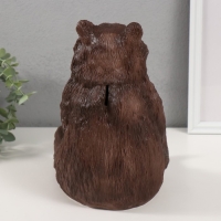 Копилка "Медведь Никита" 25х17х22 см Копилка "Медведь Никита" 25х17х22 см