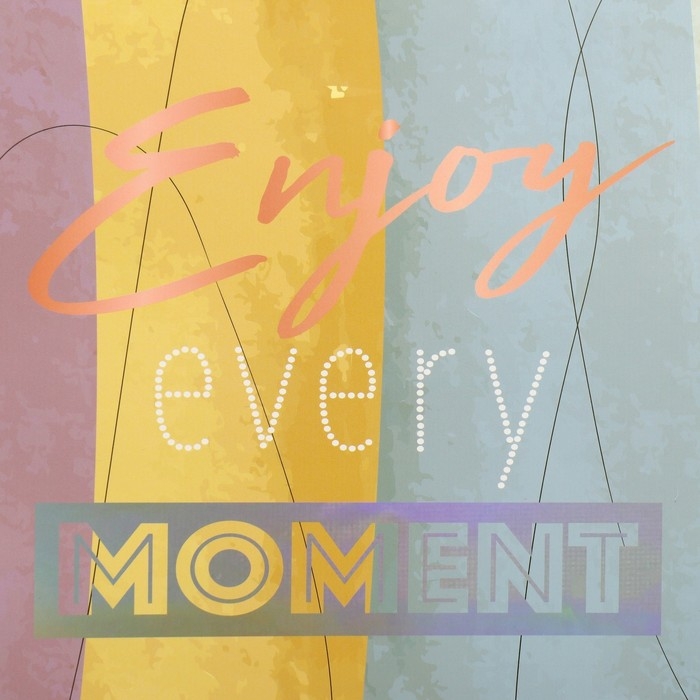 Пакет подарочный ламинированный, упаковка, &laquo;Лови момент&raquo;, 25.4 х 30.5 х 12.7 см