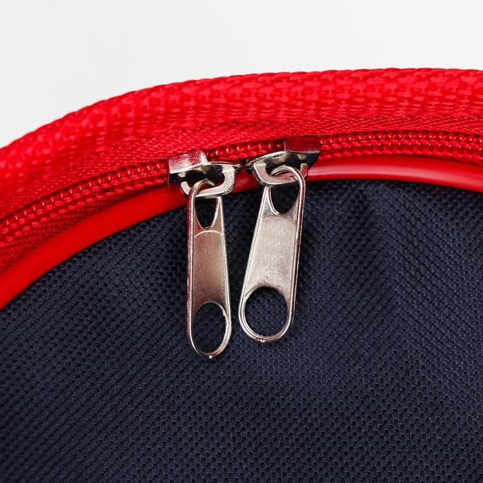 Сумка-переноска для животных, каркасная, 31 х 20,5 х 22 см, синий-красный Сумка-переноска для животных, каркасная, 31 х 20,5 х 22 см, синий-красный