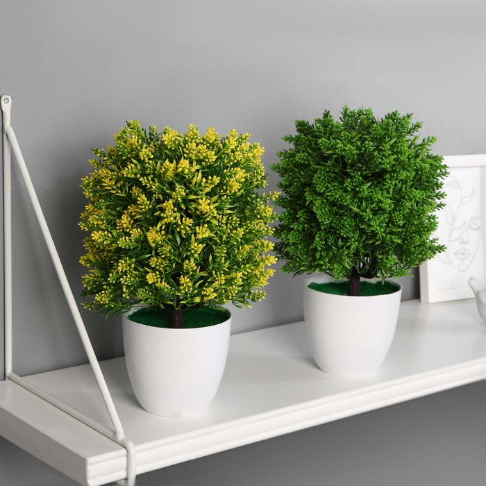 Бонсай в горшке "Пышное деревце с цветами" 12х25 см, микс