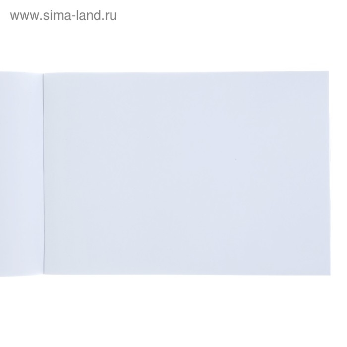 Альбом для рисования А4, 40 листов, на скрепке, "Ассорти", обложка мелованный картон, блок 100 г/м&sup2;, МИКС