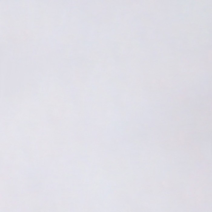 Плёнка для цветов упаковочная тишью влагостойкая «Белый», 0.6 x 8 м, 30мкм Плёнка для цветов упаковочная тишью влагостойкая «Белый», 0.6 x 8 м, 30мкм