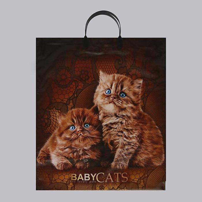 Пакет Пакет "Бэбикэтс", полиэтиленовый с пластиковой ручкой, 40 х 44, 100 мкм