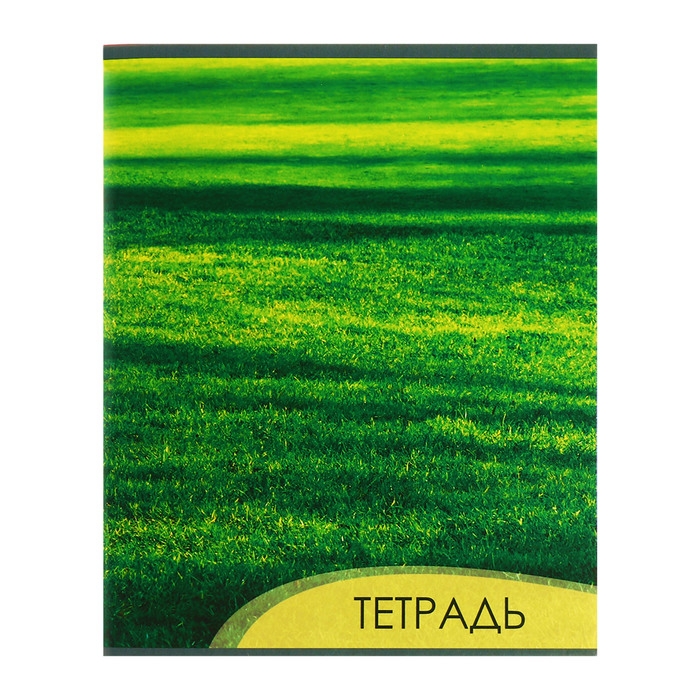 Комплект тетрадей из 4 штук, 96 листов в клетку Calligrata Комплект тетрадей из 4 штук, 96 листов в клетку Calligrata "Текстура 2", обложка мелованный картон, блок офсет