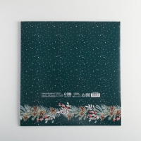 Коробка подарочная новогодняя складная «Новогодняя ботаника», 31 х 24.5 х 8 см, Новый год Коробка подарочная новогодняя складная «Новогодняя ботаника», 31 х 24.5 х 8 см, Новый год