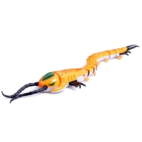 Животное «Многоножка», световые эффекты, работает от батареек, 11 деталей, цвет оранжевый Животное «Многоножка», световые эффекты, работает от батареек, 11 деталей, цвет оранжевый