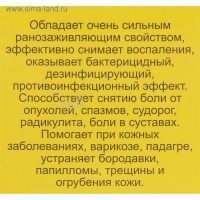 Мазь «Монастырская Живица с Мухомором». Ранозаживляющая. Стекло. 28 мл. Мазь «Монастырская Живица с Мухомором». Ранозаживляющая. Стекло. 28 мл.