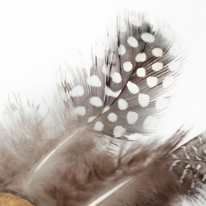 Игрушка для кошек из прессованной кошачьей мяты Игрушка для кошек из прессованной кошачьей мяты "Бабочка", 7,5 см