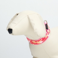 Ошейник с подсветкой Милитари 3 режима свечения размер S, ОШ 22-40 х 2,5 см розовый Ошейник с подсветкой Милитари 3 режима свечения размер S, ОШ 22-40 х 2,5 см розовый