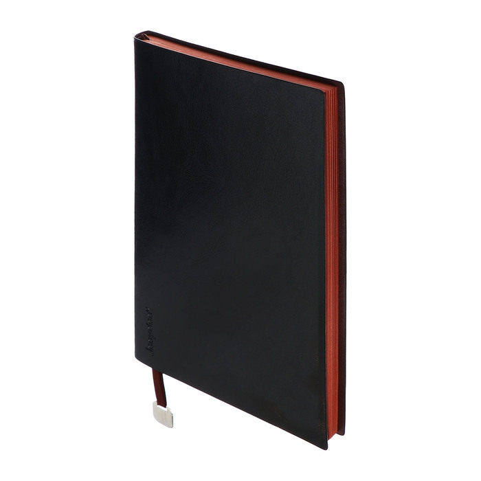 Органайзер на кольцах, А5, 116л, клетка, обл.кожзам, коричневый срез, Черный Органайзер на кольцах, А5, 116л, клетка, обл.кожзам, коричневый срез, Черный