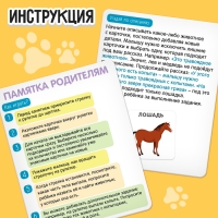 Развивающий набор &laquo;Изучаем животных&raquo;