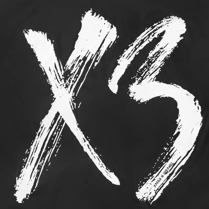 Дождевик &laquo;ХЗ&raquo;, черный, размер S