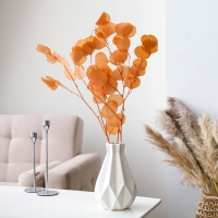 Сухоцвет персикого дерева, 50 г, длина &mdash; 70 см, цвет нежно-розовый