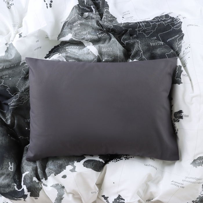 Постельное бельё Постельное бельё "Этель" 2 сп Geography 175*215 см, 200*220 см, 50*70 см -2 шт, поплин 125 г/м2, хл 100%