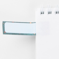 Набор стикеров-закладок &laquo;Мечтай, всё сбудется&raquo;, 4 шт, 20 листов.