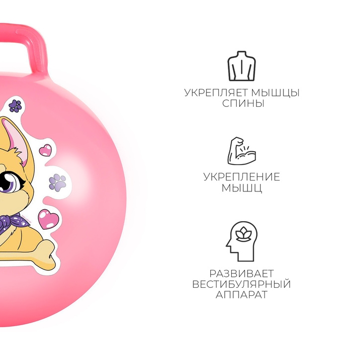 Мяч-прыгун с ручкой ZABIAKA &laquo;Корги&raquo;, d=45 см, 380 г, цвет розовый