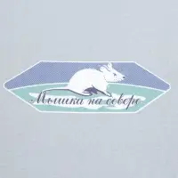 Футболка мужская &laquo;Мышка на севере&raquo;, голубая, размер M