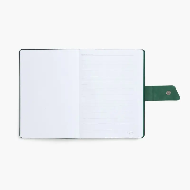 Ежедневник Boom, недатированный, черный с зеленым