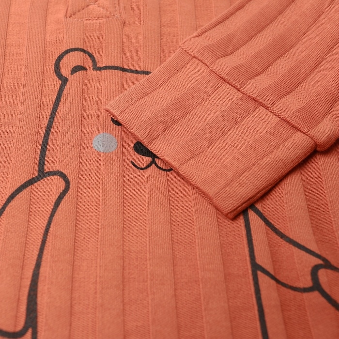 Лонгслив детский, цвет кирпичный, рост 68 см Лонгслив детский, цвет кирпичный, рост 68 см