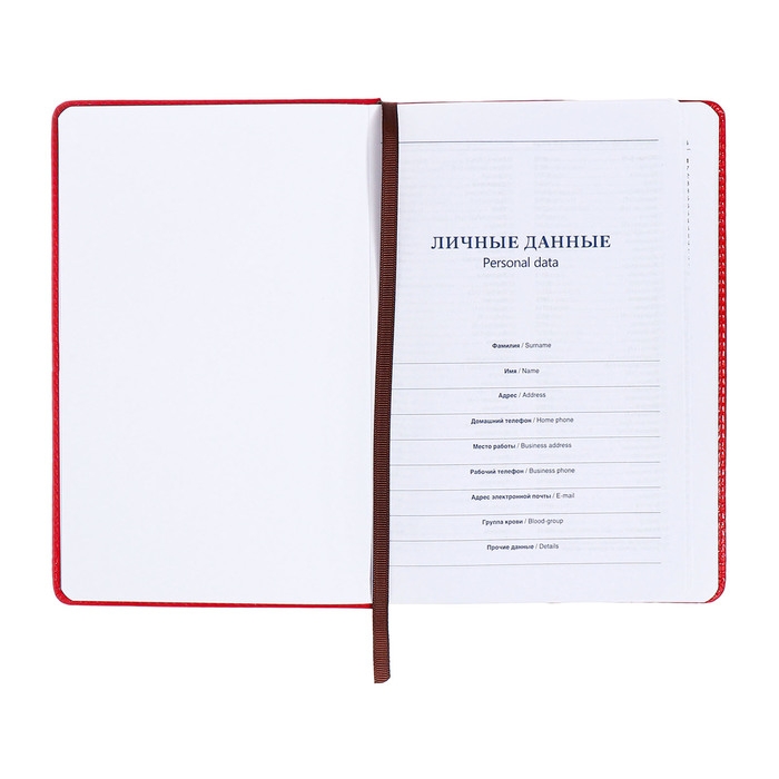 Ежедневник недатированный, А5, 140л, клетка, обл.кожзам, с хлястиком, Стайл, красный