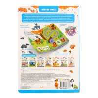 Играй и учись &laquo;Лес&raquo;