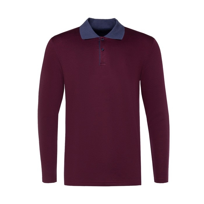 Поло мужское с длинным рукавом, цвет бордовый, размер 44 (S)