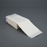 Пелёнки впитывающие целлюлозные для животных, 60 х 60 см, 5 шт Пелёнки впитывающие целлюлозные для животных, 60 х 60 см, 5 шт