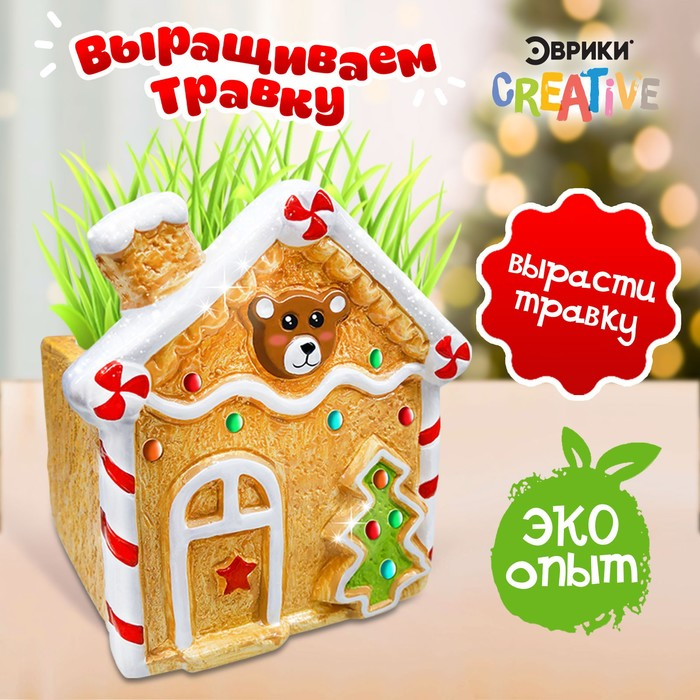 Набор для опытов «Выращиваем травку: Домик», с семенами Набор для опытов «Выращиваем травку: Домик», с семенами
